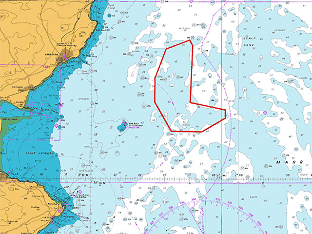 Inch Cape Offshore Wind Project Granted Consent For Fewer Turbines 